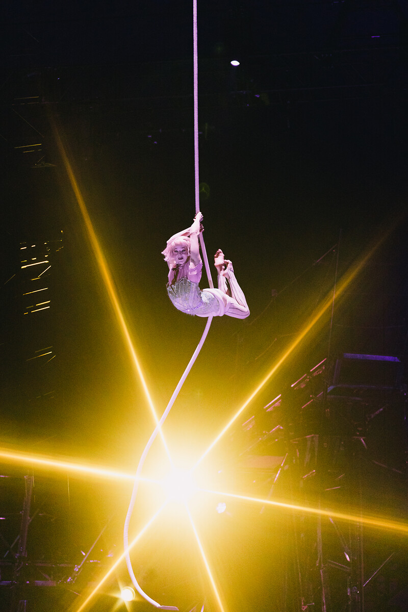 Bazzar - Cirque du Soleil (Crédito: Juliano Palma | Divulgação)