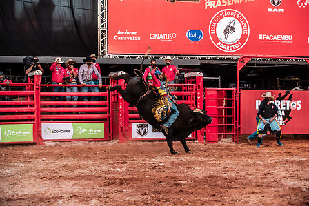 Barretos 2017: Montarias em cavalos e touros; FOTOS, Festa do Peão de  Barretos 2017