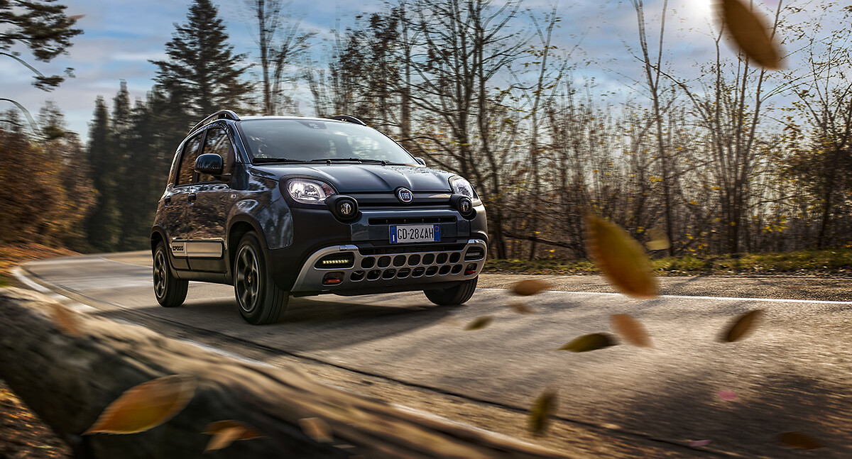 The New Panda is coming celebrating its first 40 years!, Fiat