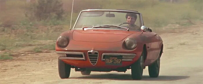alfa-spider-graduado-700px