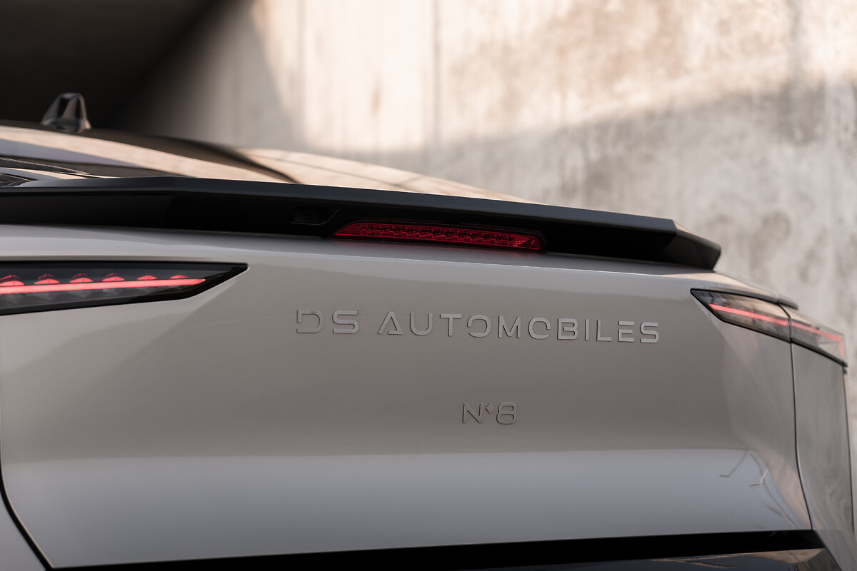 Columbus Zoo welcomes Pallas' kitten, otter pup, image size:1200x800