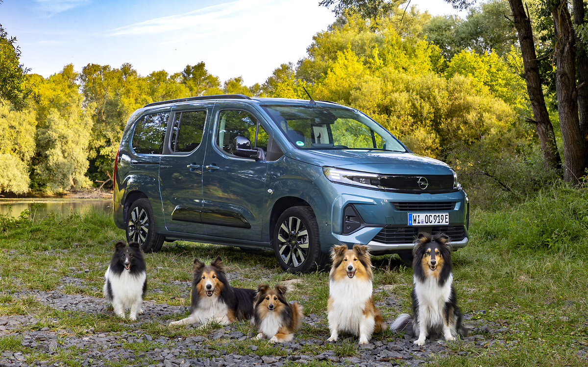 Opel Combo Electric : le plaisir de conduire pour les chiens et leurs familles