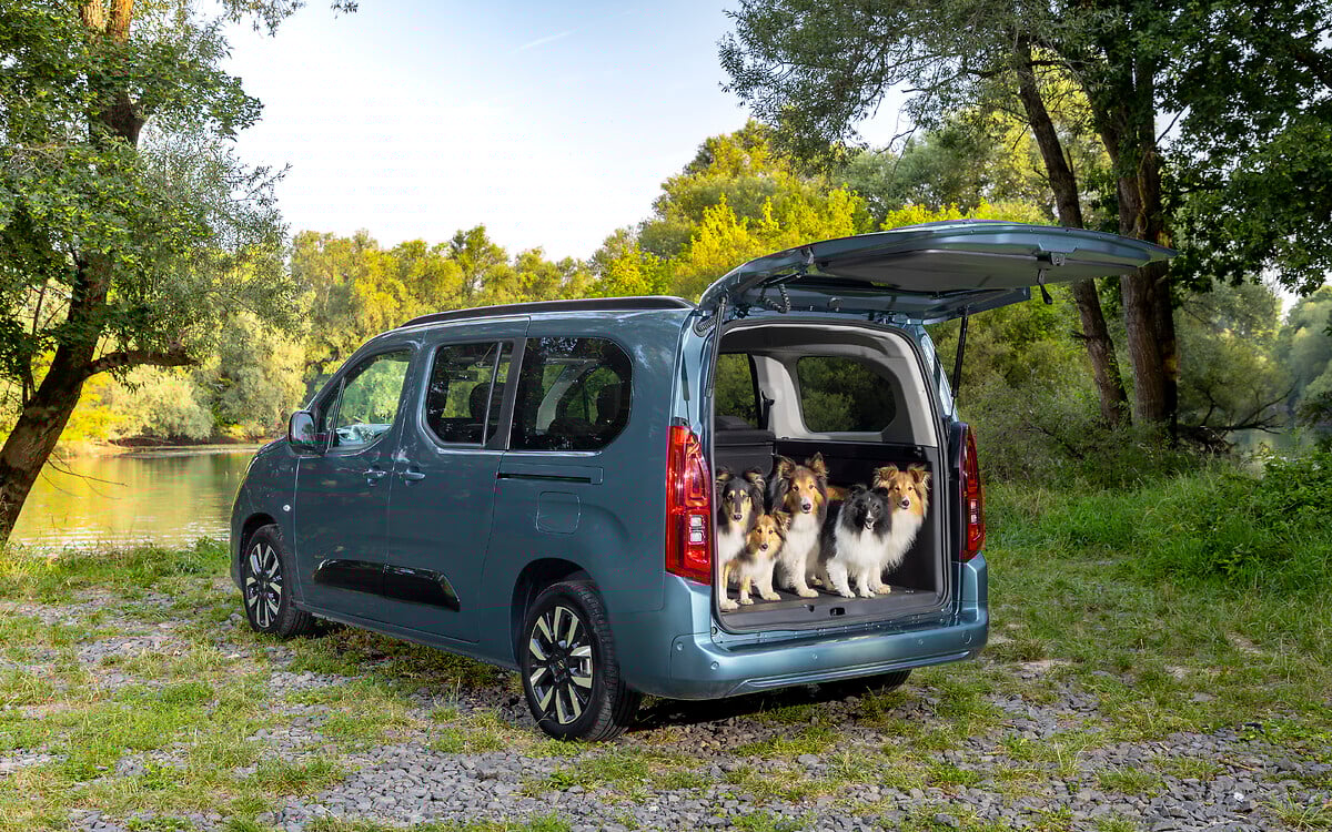 Opel Combo Electric: driving pleasure for dogs and their families