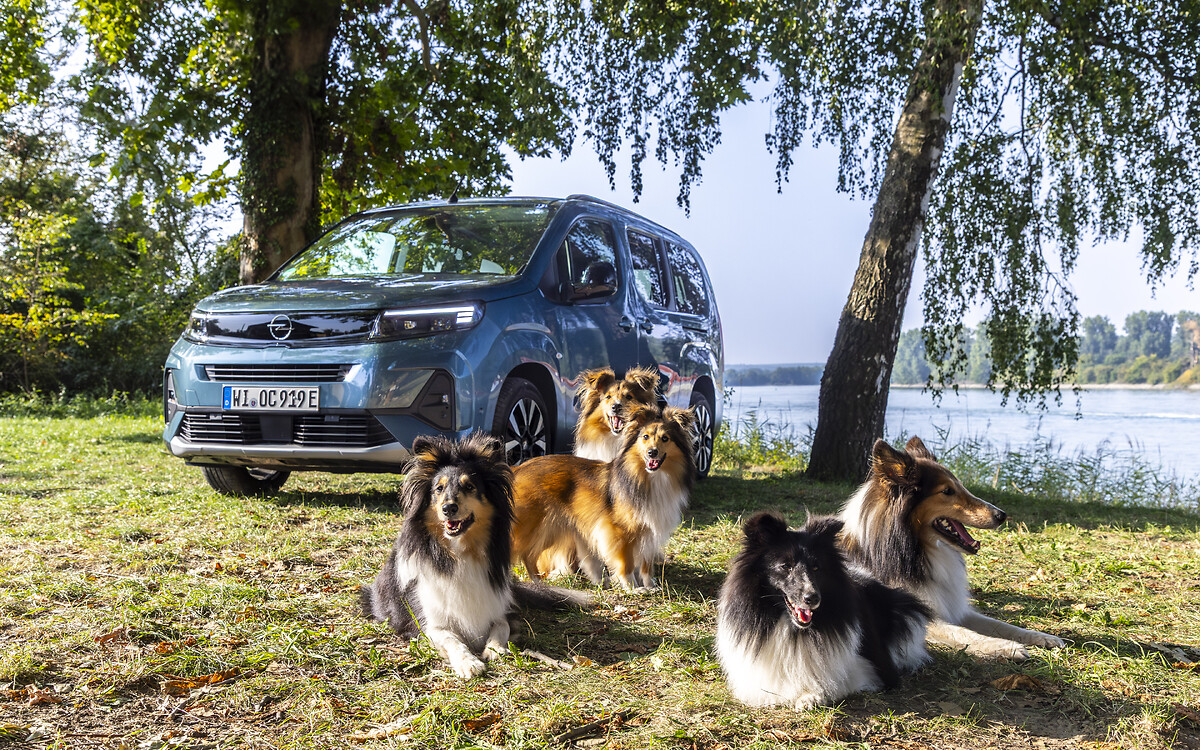 Opel Combo Electric : le plaisir de conduire pour les chiens et leurs familles