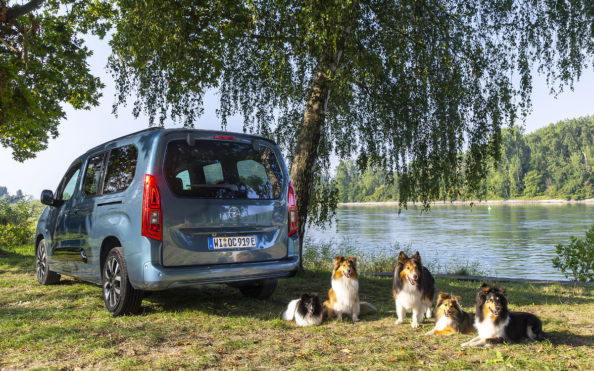 Opel Combo Electric : le plaisir de conduire pour les chiens et leurs familles