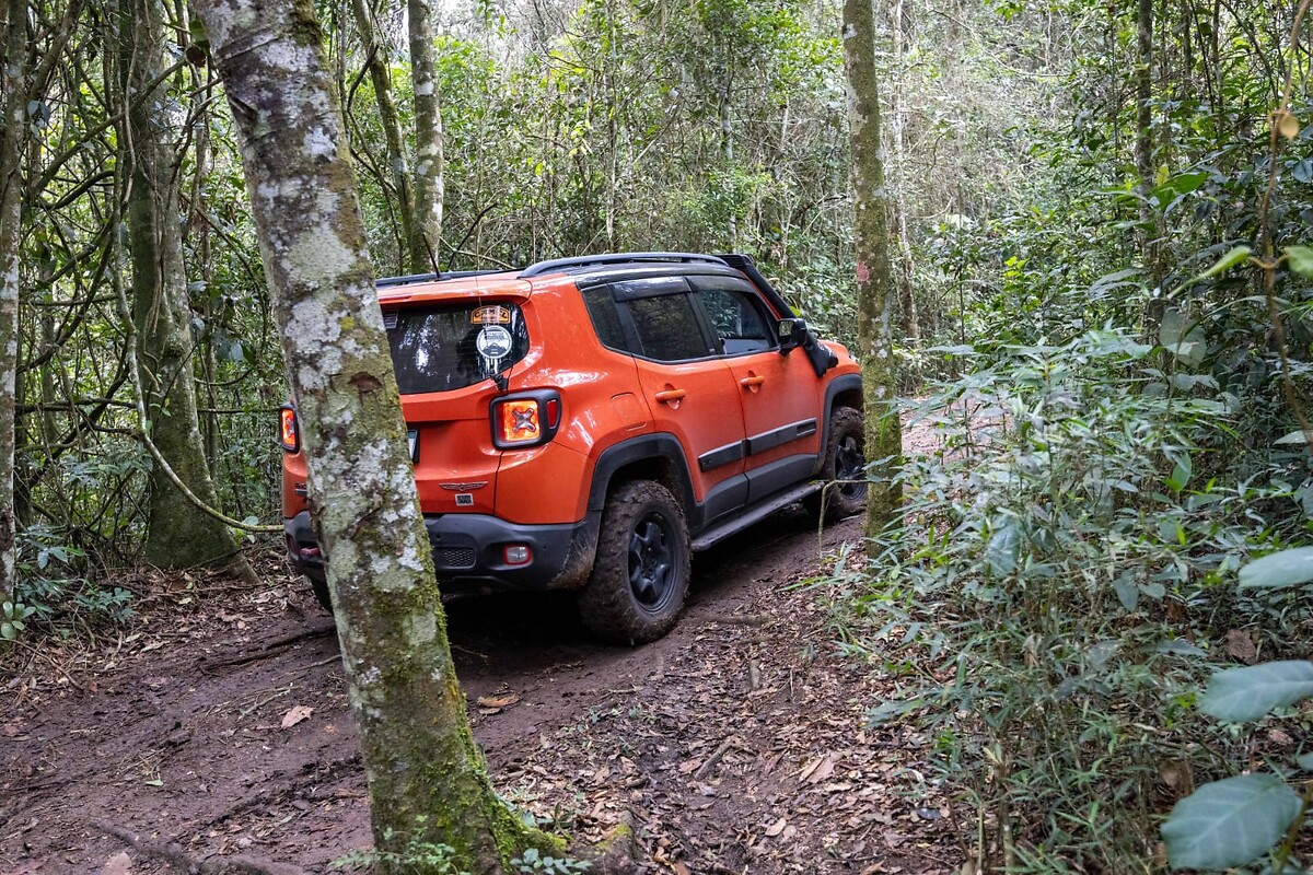 JEEP_NATURE (6)