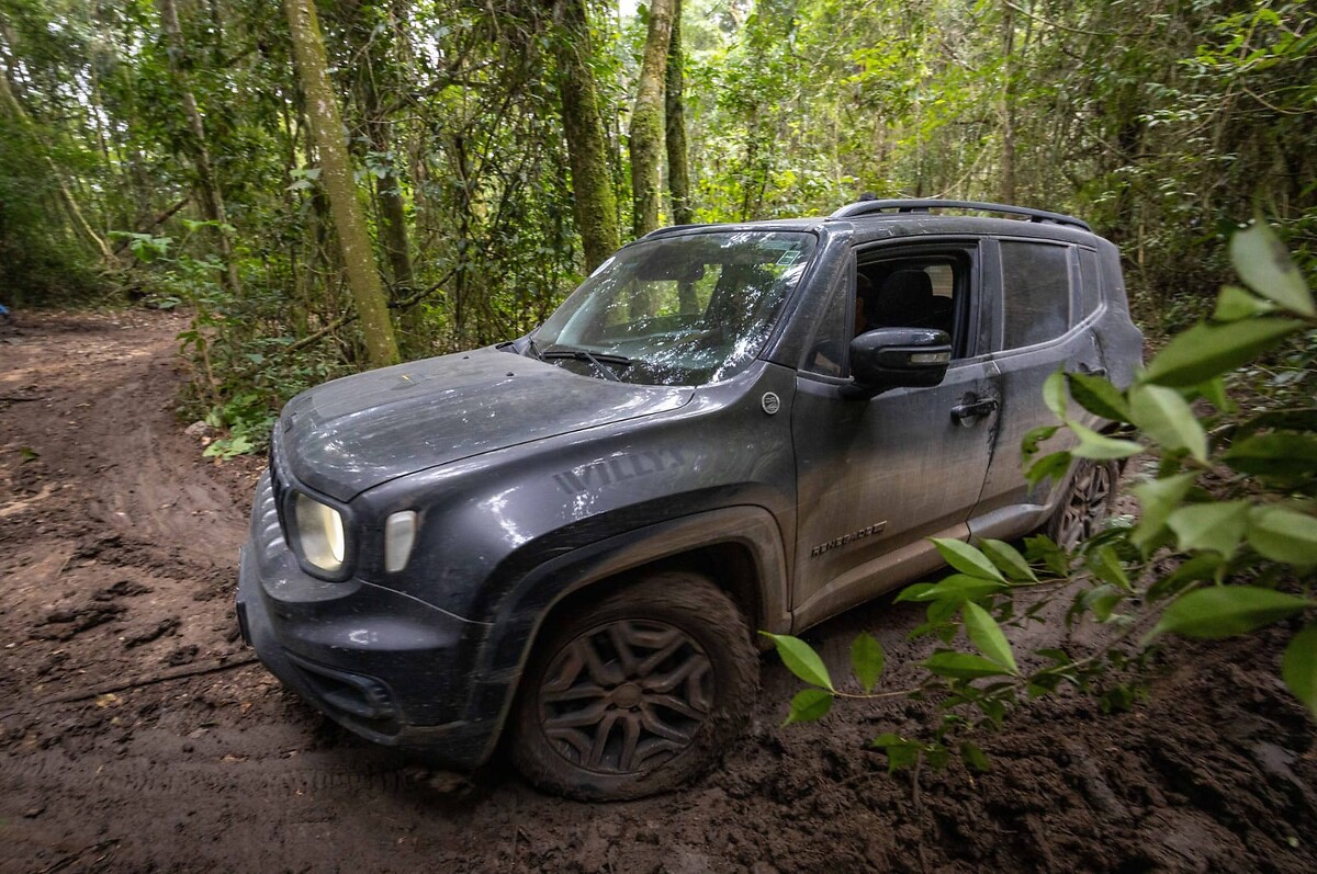 JEEP_NATURE (12)