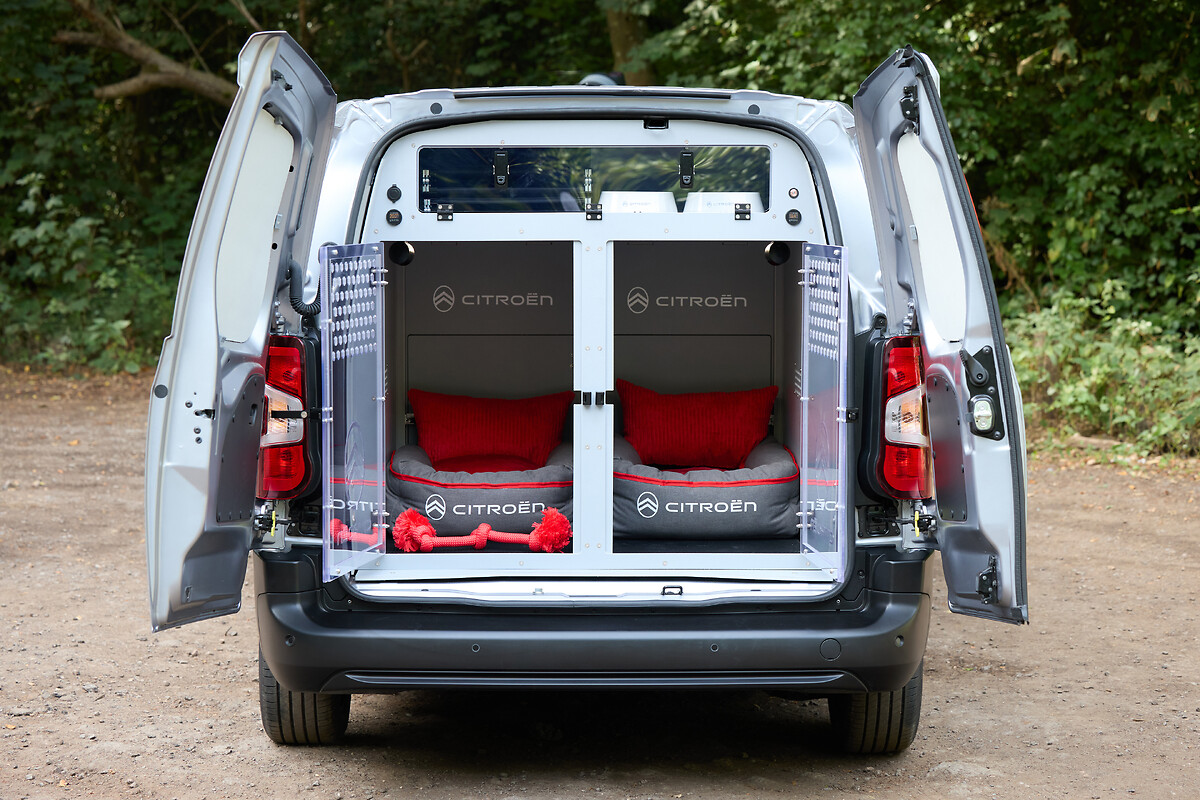 Citroen_Pawlingo_Concept (9)