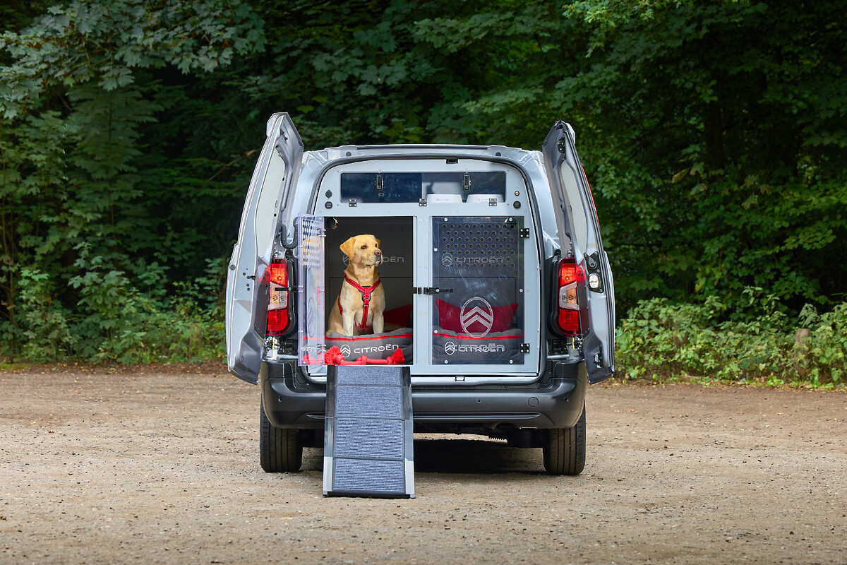 Citroen_Pawlingo_Concept (16)