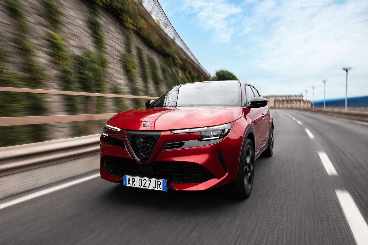 Alfa romeo junior
